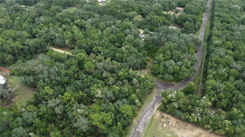 215 Lake Lucy Circle Other City - In The State Of Florida, FL 32148