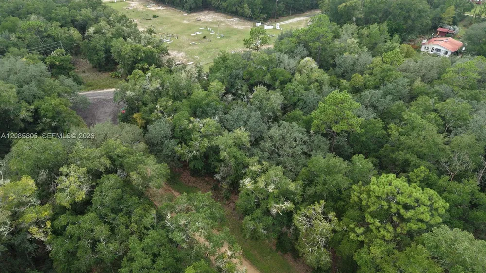 215 Lake Lucy Circle Other City - In The State Of Florida, FL 32148