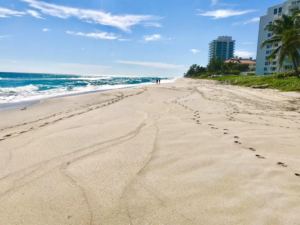3420 S Ocean Boulevard #8z Highland Beach, FL 33487