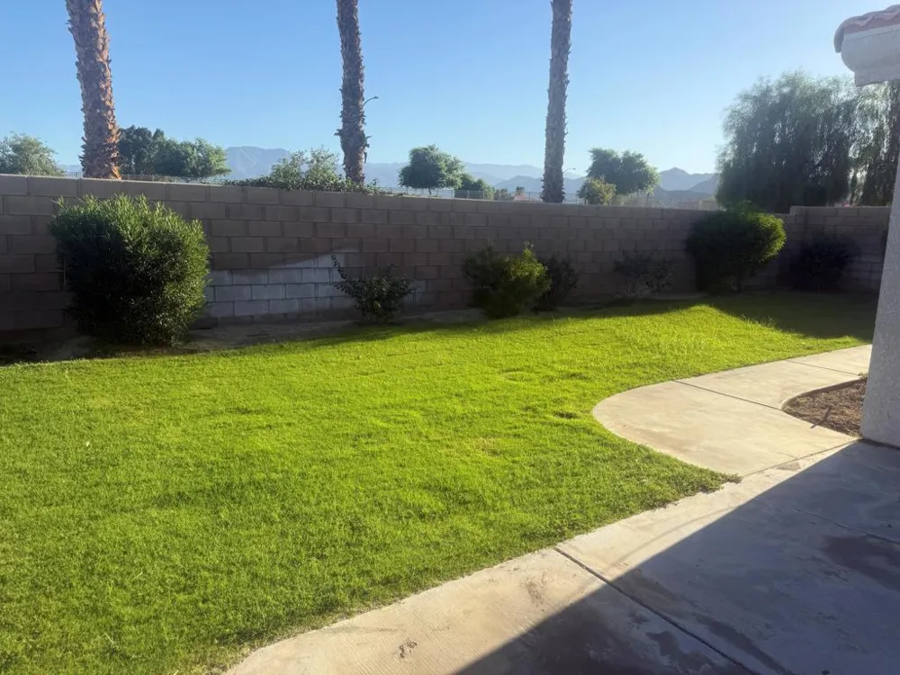 79531 Dandelion Drive La Quinta, CA 92253