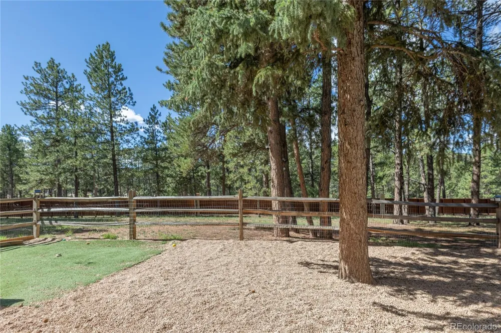 3115 Regent Drive Woodland Park, CO 80863