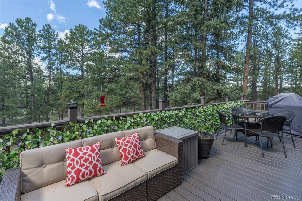 3115 Regent Drive Woodland Park, CO 80863