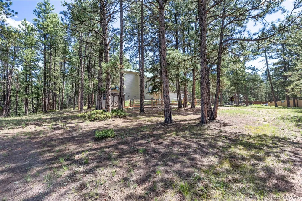 3115 Regent Drive Woodland Park, CO 80863