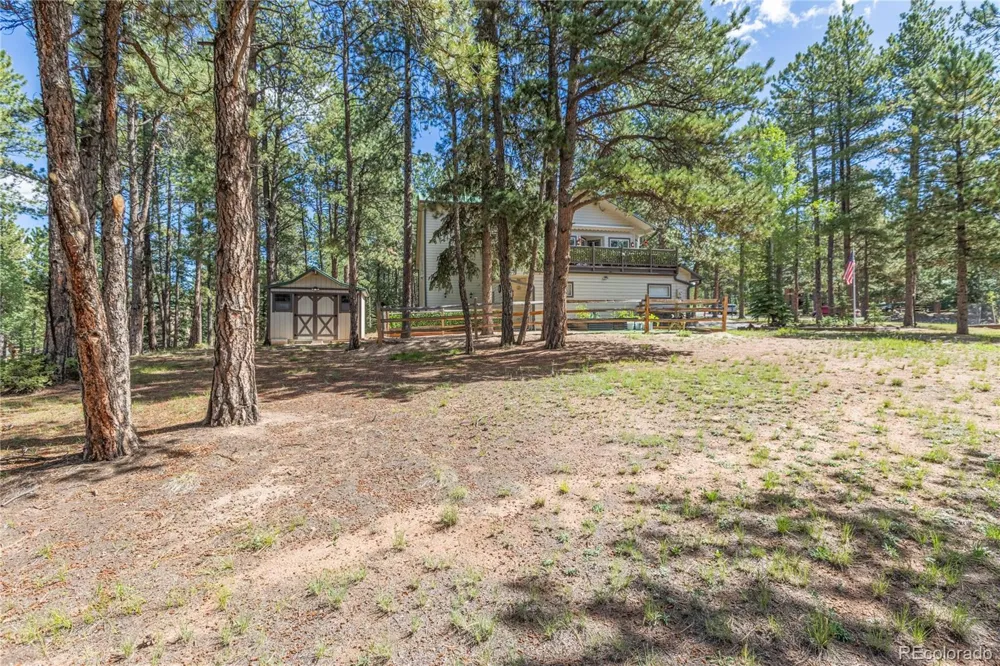 3115 Regent Drive Woodland Park, CO 80863