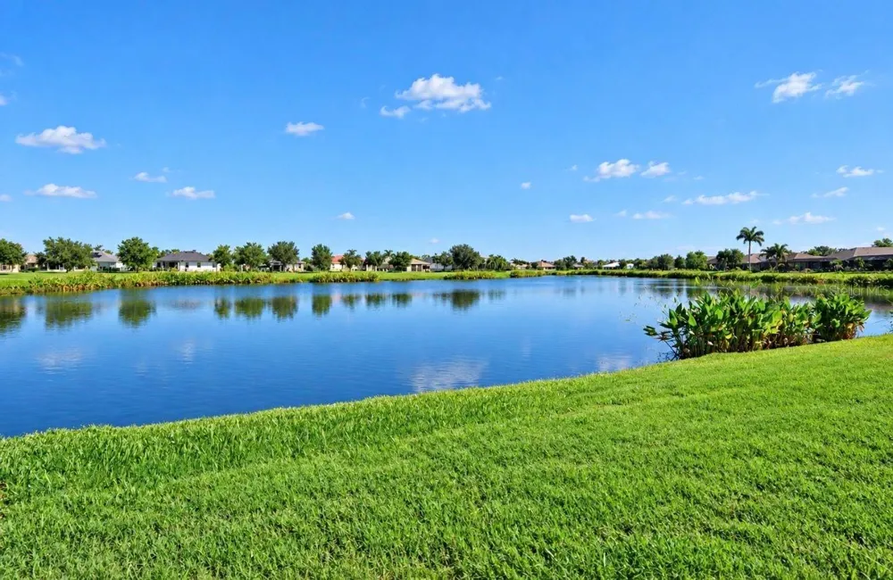 337 STAR SHELL DRIVE Apollo Beach, FL 33572