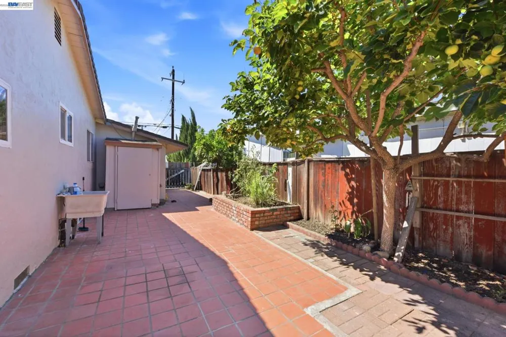 33438 University Dr Union City, CA 94587