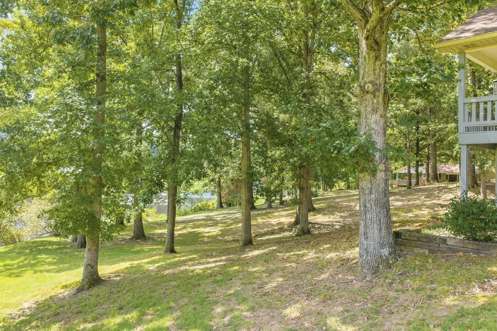 663 Asbury Rd Camden, TN 38320