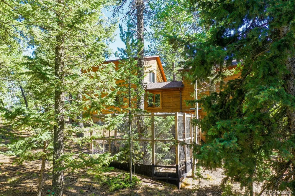 886 Cottonwood Lake Drive Divide, CO 80814