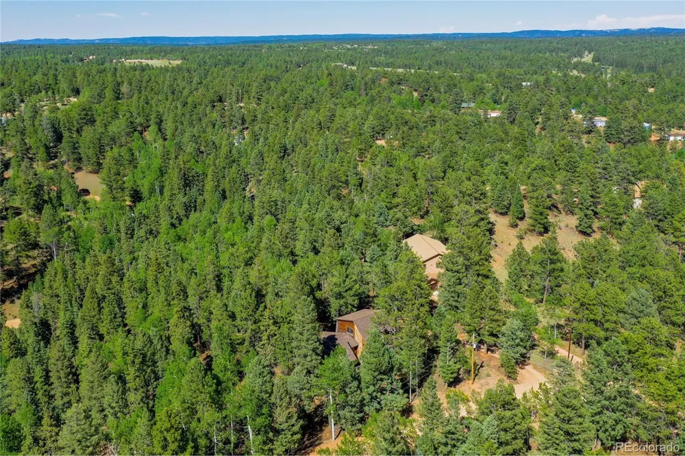 886 Cottonwood Lake Drive Divide, CO 80814