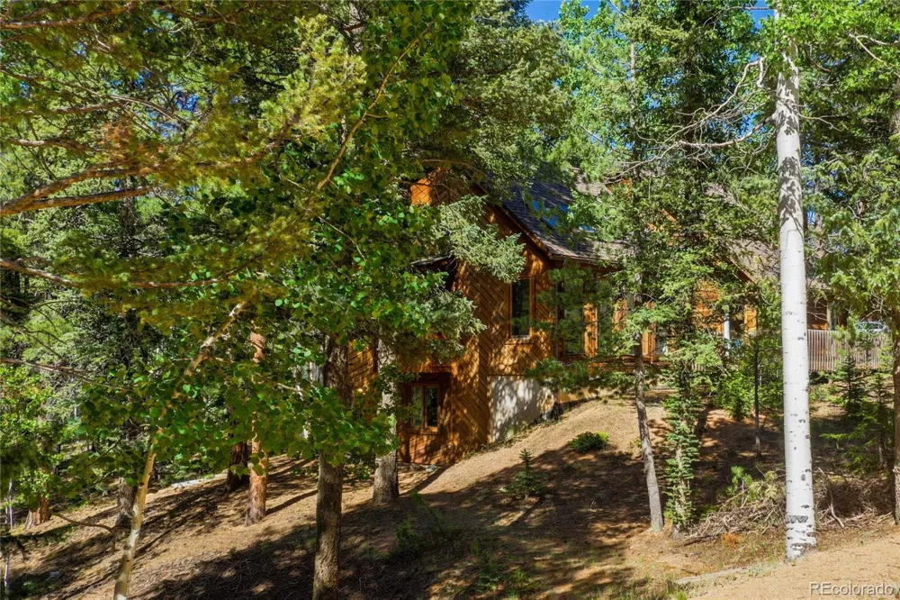 886 Cottonwood Lake Drive Divide, CO 80814