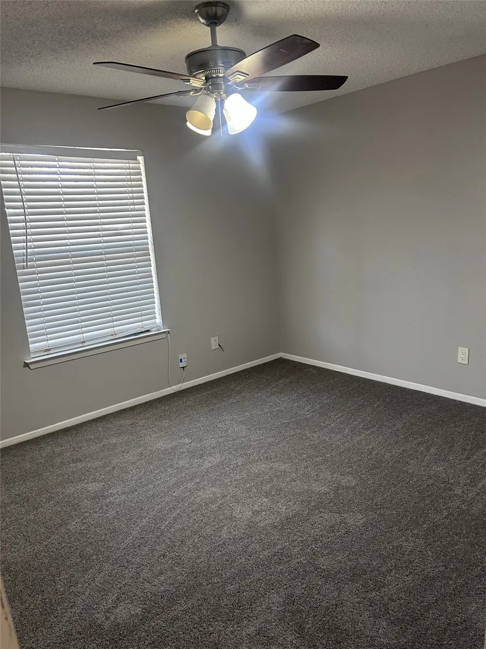 1446 Pinnacle Peak Drive DeSoto, TX 75115