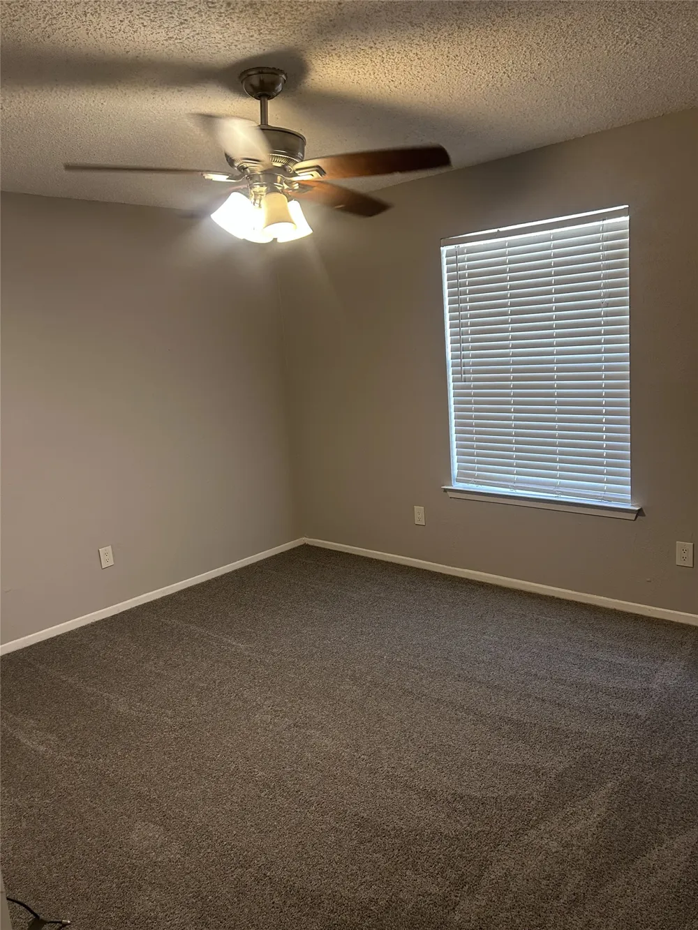 1446 Pinnacle Peak Drive DeSoto, TX 75115