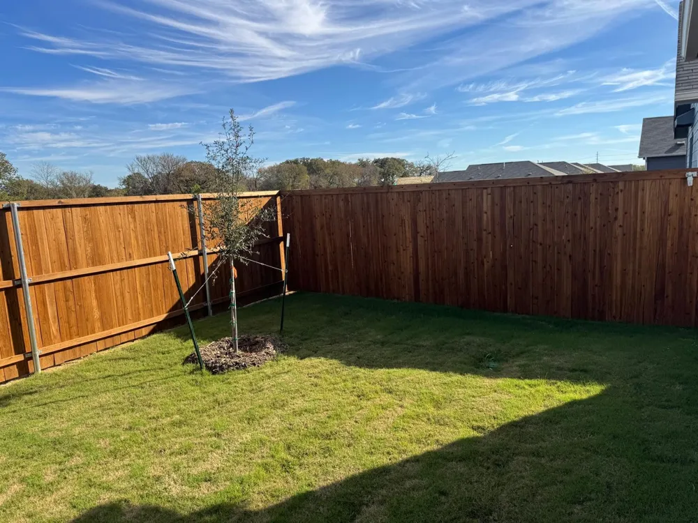 3116 Burmese Street Providence Village, TX 76227