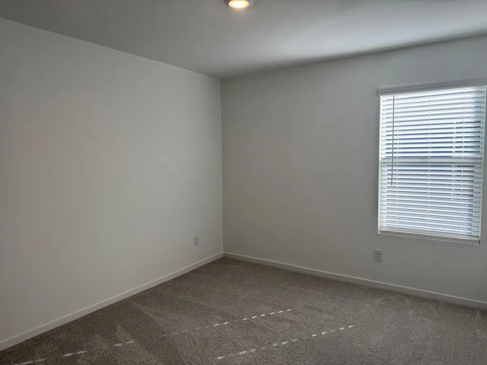 3116 Burmese Street Providence Village, TX 76227