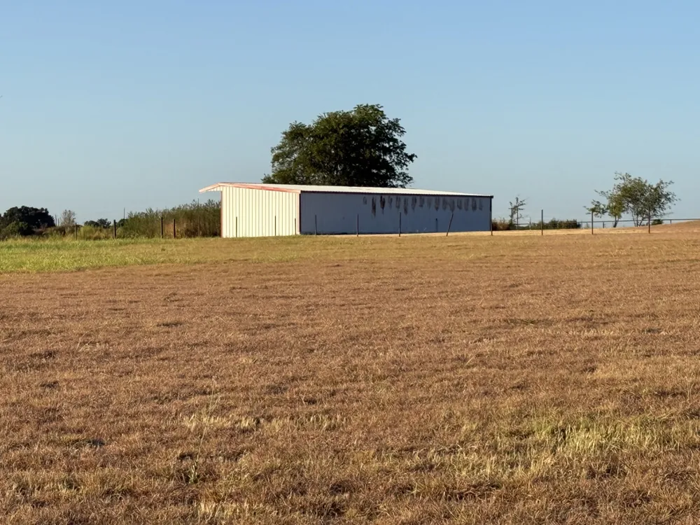 193 County Road 1793 Sunset, TX 76270
