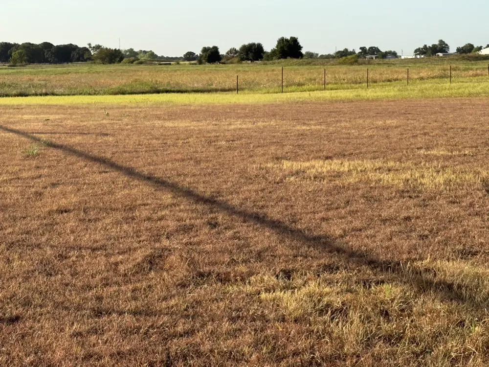 193 County Road 1793 Sunset, TX 76270