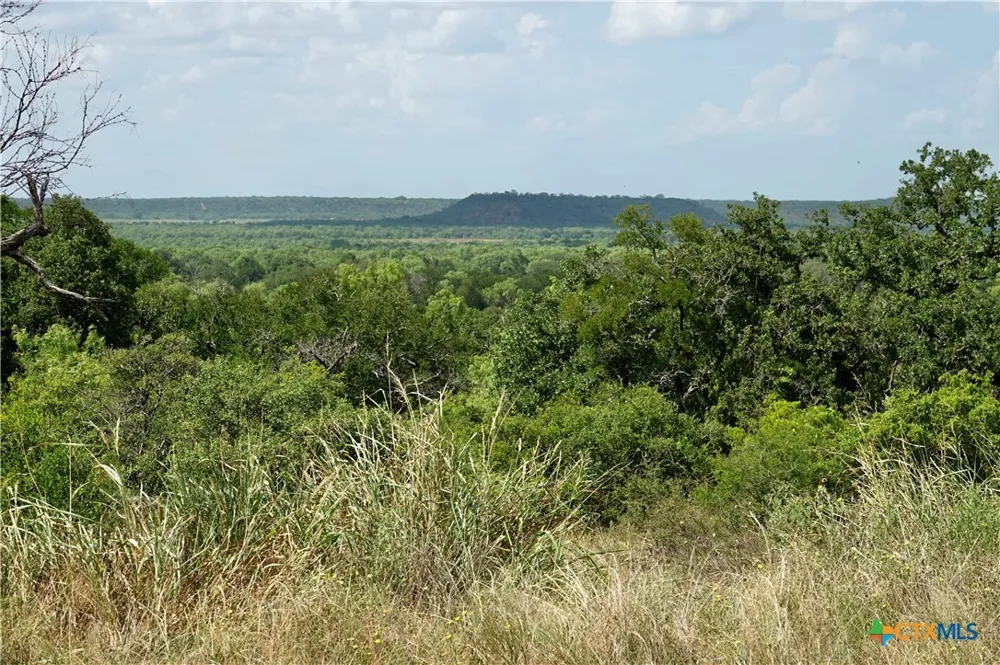 1345 PR 5001 Richland Springs, TX 76871
