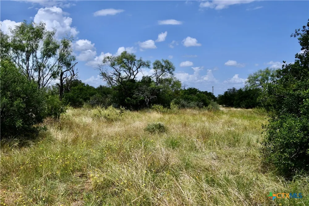 1345 PR 5001 Richland Springs, TX 76871