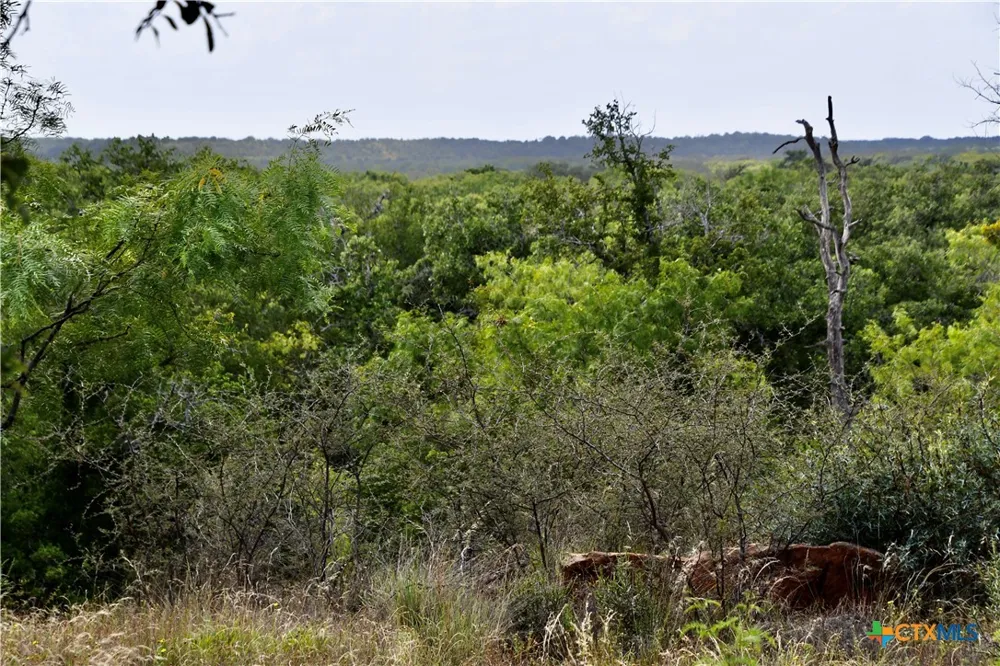 1345 PR 5001 Richland Springs, TX 76871