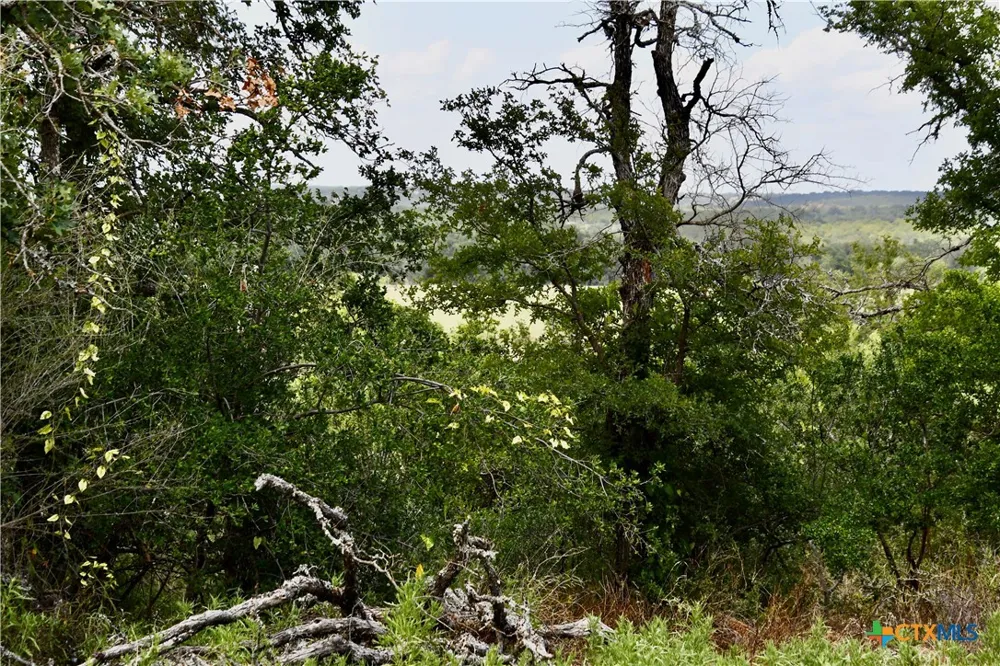 1345 PR 5001 Richland Springs, TX 76871