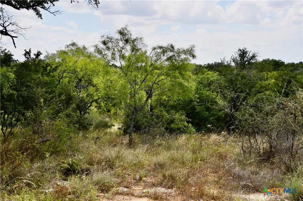 1345 PR 5001 Richland Springs, TX 76871