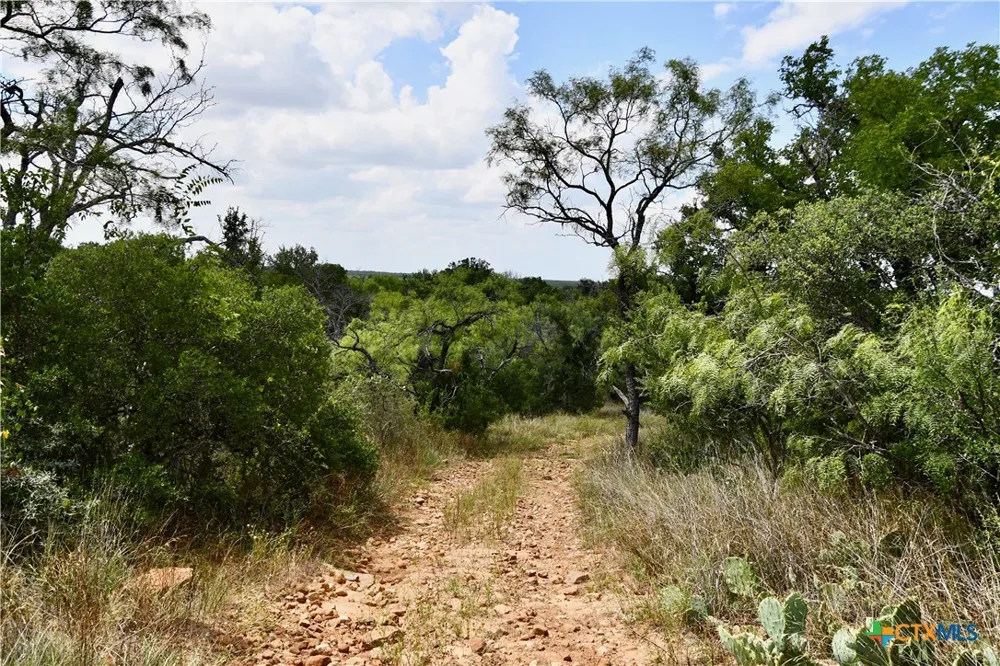 1345 PR 5001 Richland Springs, TX 76871