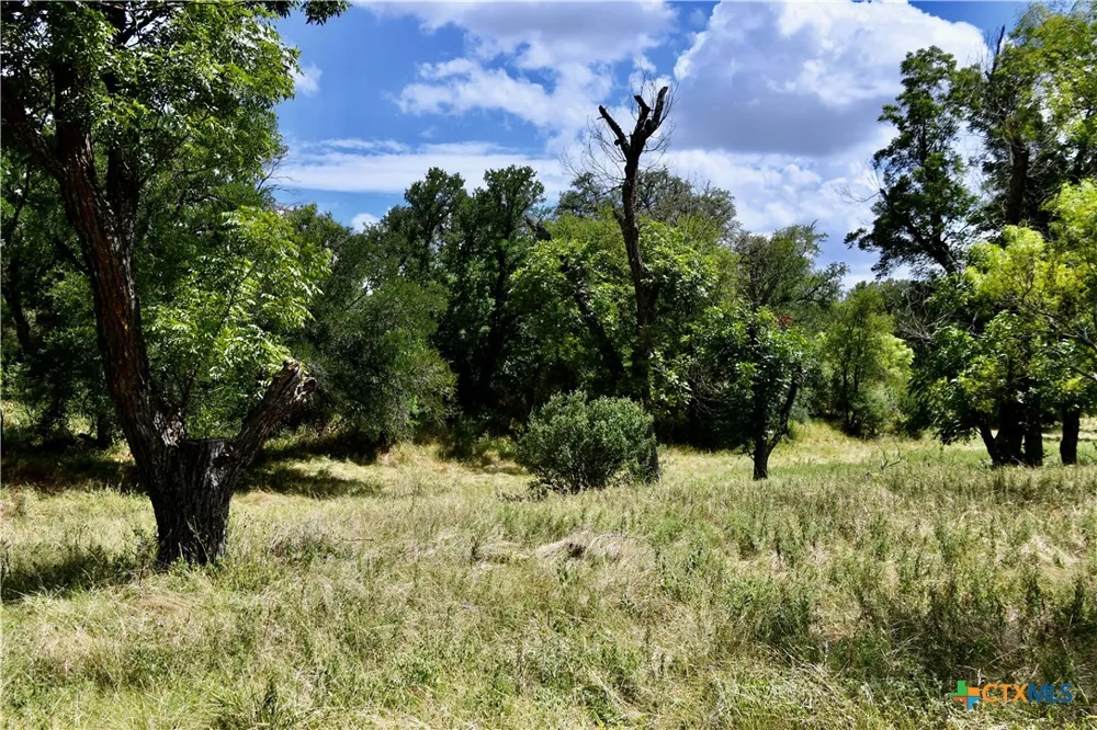 1345 PR 5001 Richland Springs, TX 76871