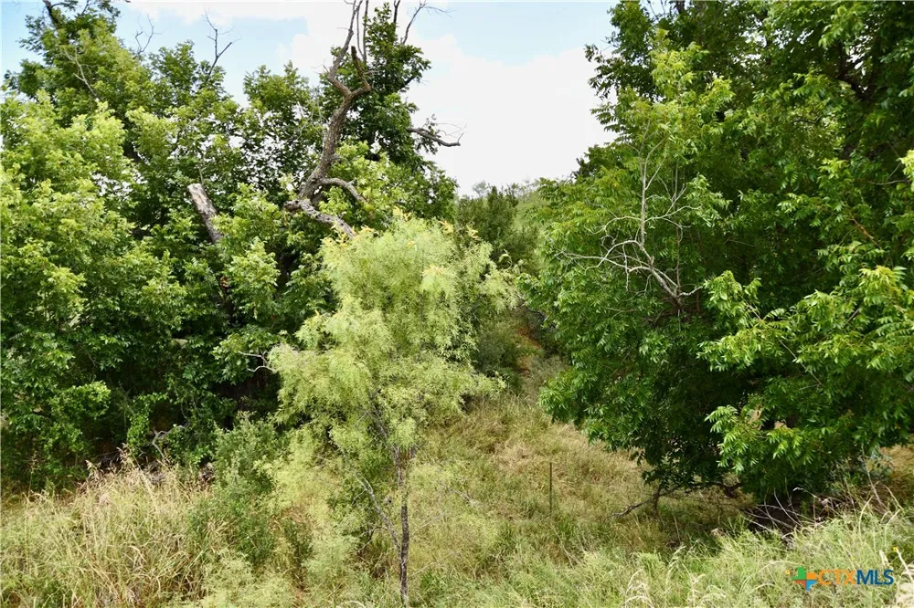1345 PR 5001 Richland Springs, TX 76871
