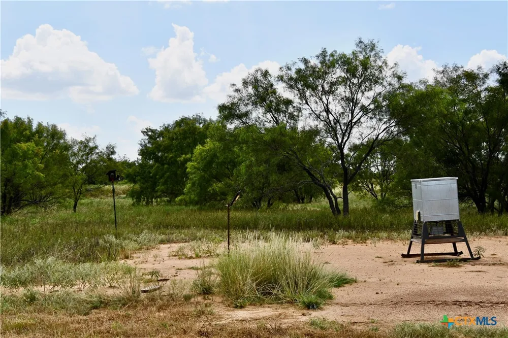 1345 PR 5001 Richland Springs, TX 76871