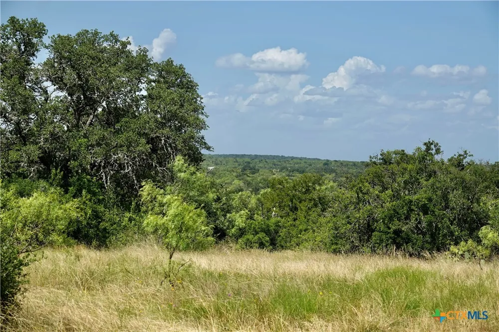 1345 PR 5001 Richland Springs, TX 76871
