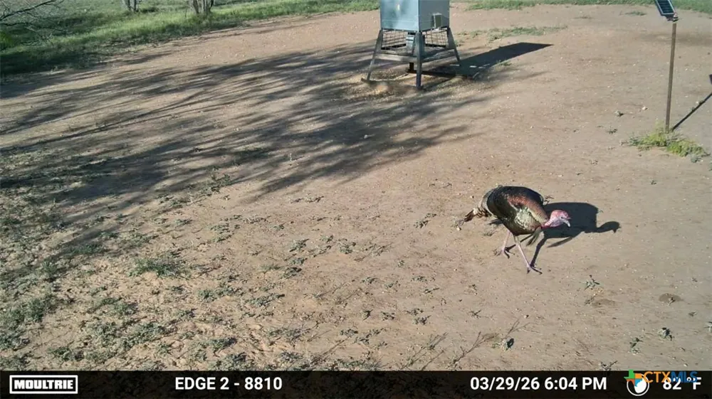 1345 PR 5001 Richland Springs, TX 76871