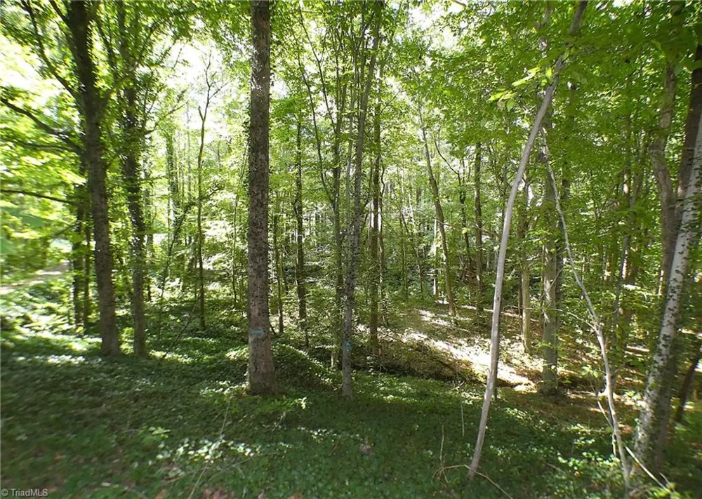 191 Holy Cross Church Road Mocksville, NC 27028