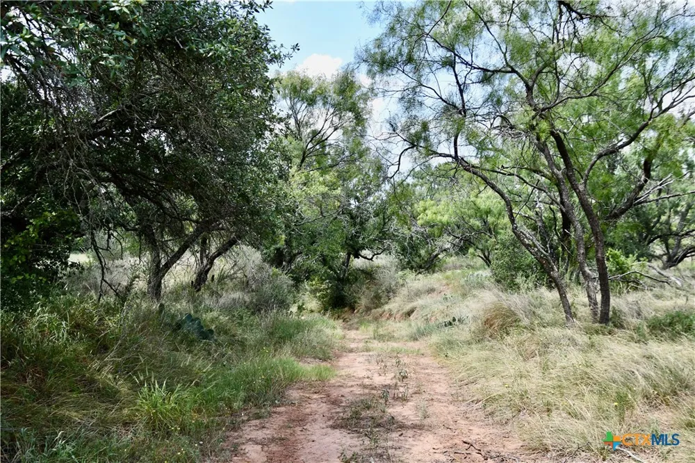 1345 PR 5001 Richland Springs, TX 76871