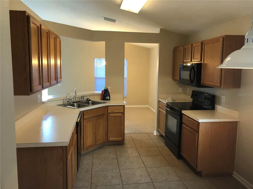 12304 TWINKLING STAR PL Riverview, FL 33578