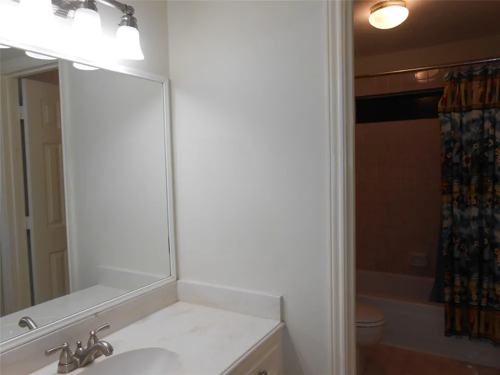 18 Crescent View Court The Woodlands, TX 77381