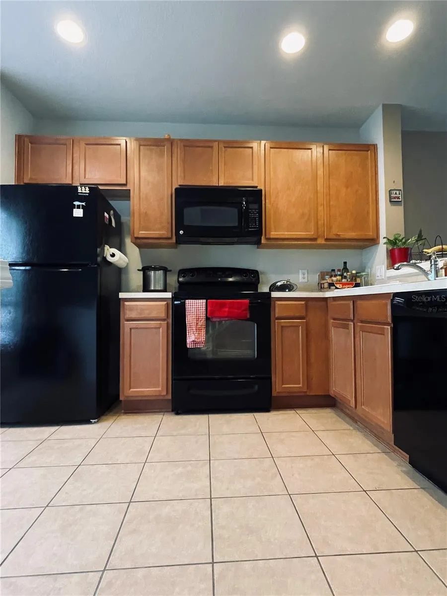 10453 WESTPARK PRESERVE BOULEVARD Tampa, FL 33625
