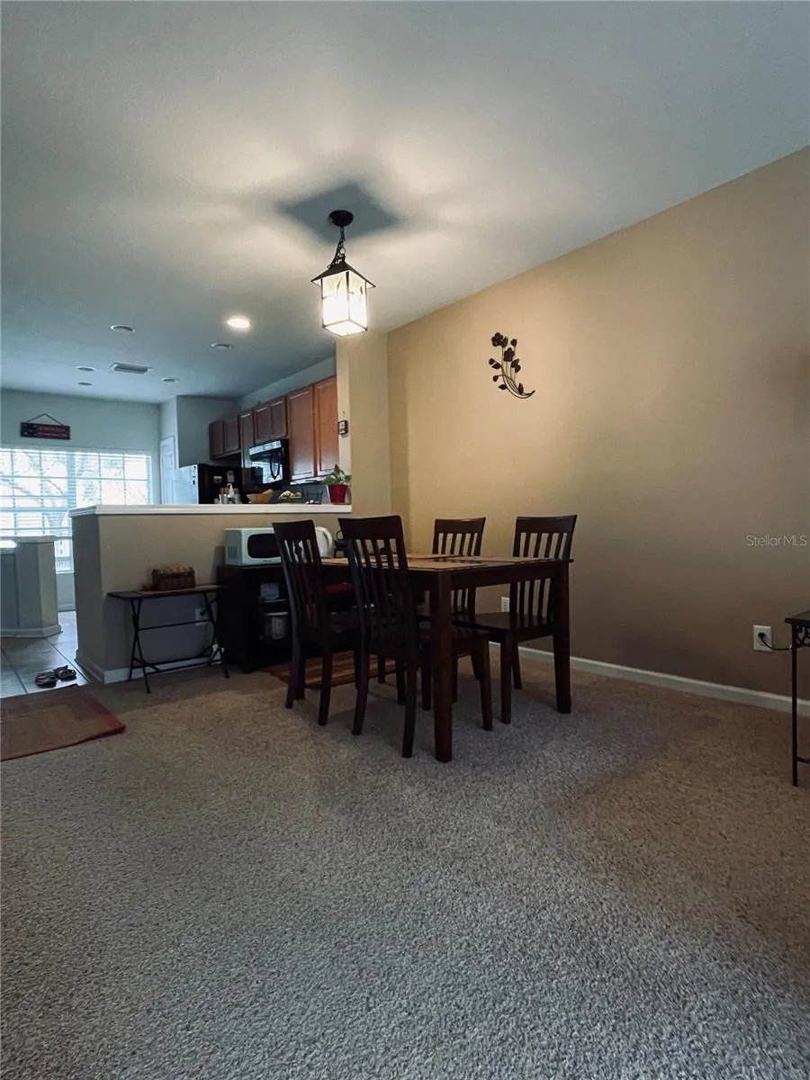 10453 WESTPARK PRESERVE BOULEVARD Tampa, FL 33625