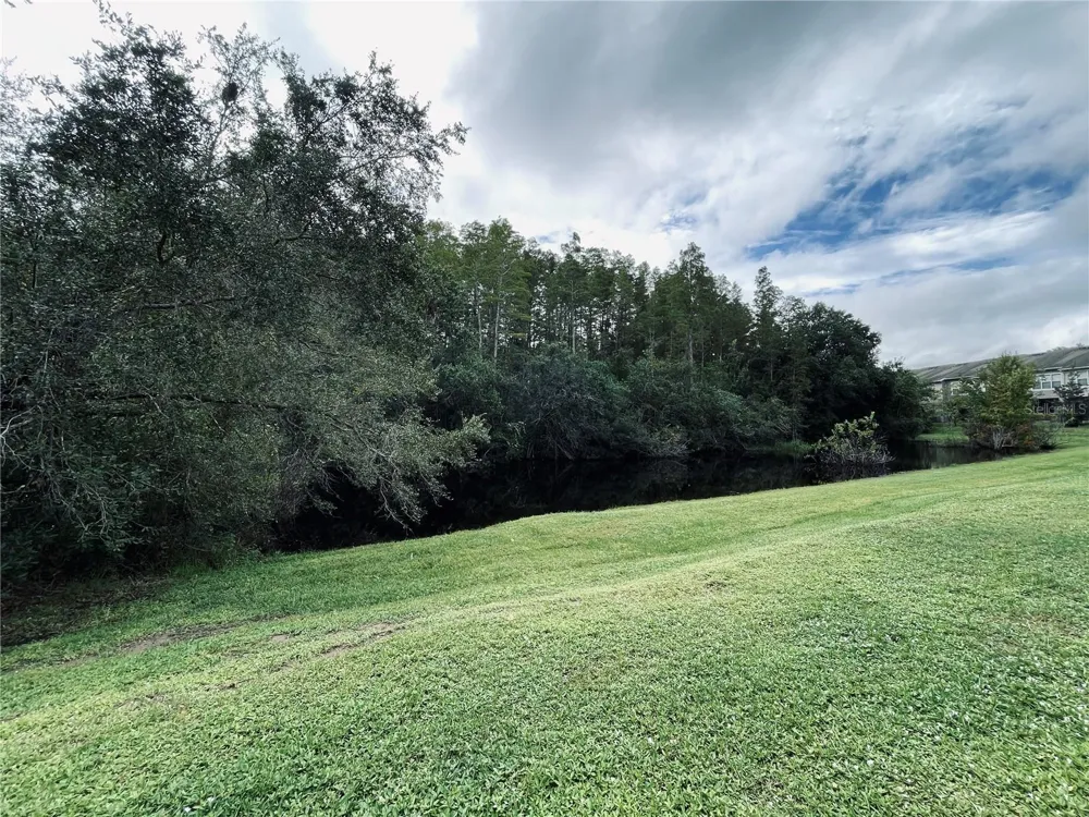 10453 WESTPARK PRESERVE BOULEVARD Tampa, FL 33625
