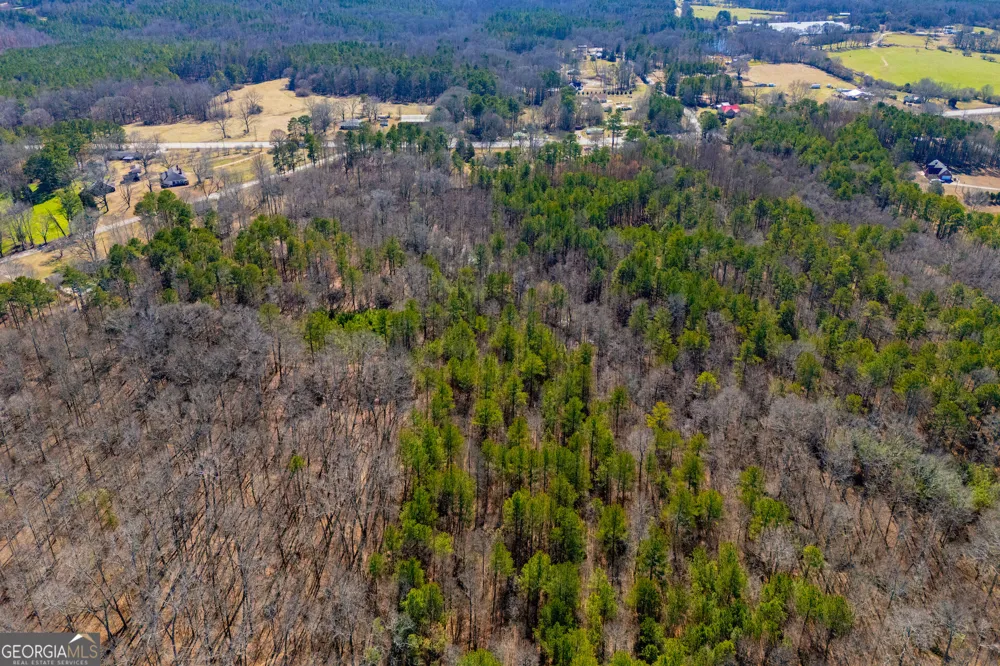 0 Hwy 166 E - 21+ acres E Bowdon, GA 30108