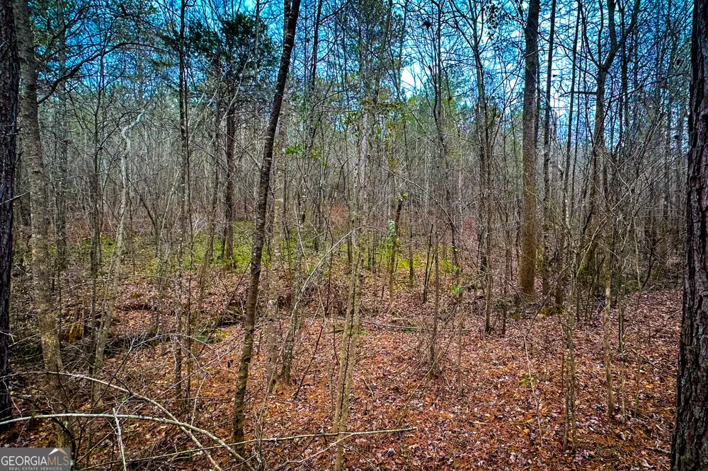 0 Hwy 166 E - 21+ acres E Bowdon, GA 30108