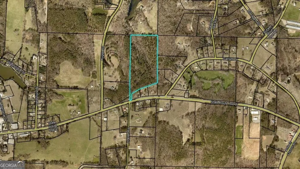 0 Hwy 166 E - 21+ acres E Bowdon, GA 30108