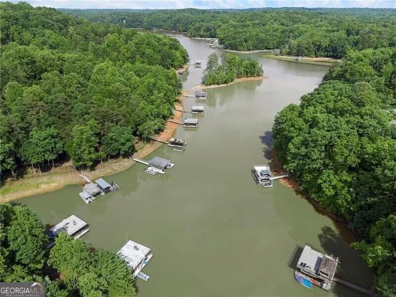 195 Fredericks CV Dawsonville, GA 30534