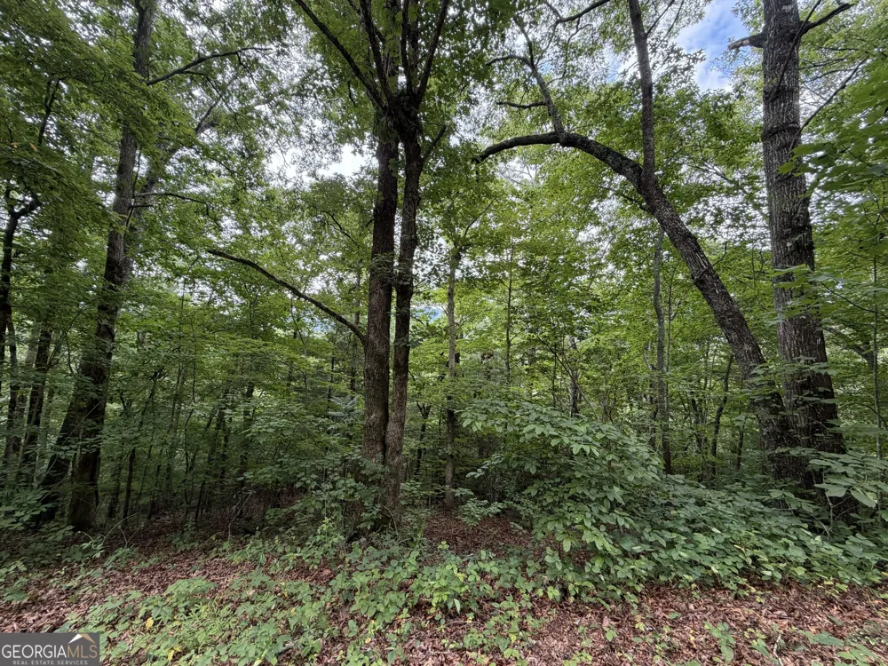 4.63 Twiggs RD Hiawassee, GA 30546