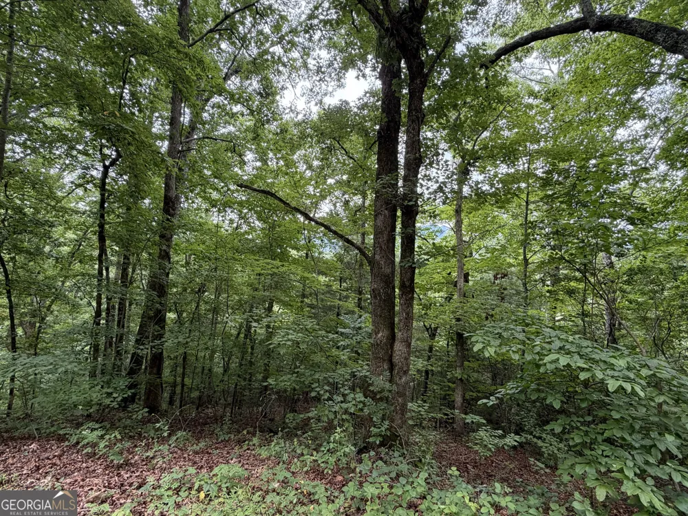 4.63 Twiggs RD Hiawassee, GA 30546