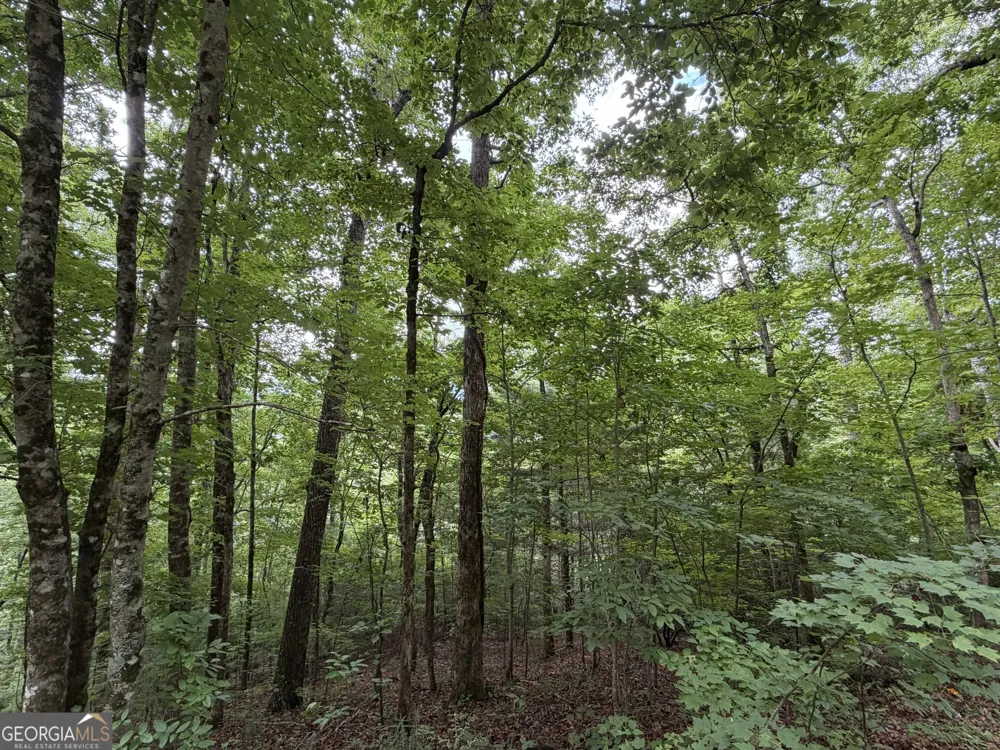 4.63 Twiggs RD Hiawassee, GA 30546
