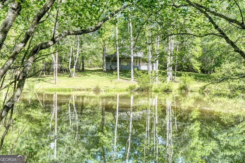 1493 Greasy Creek Road Brasstown, NC 28902