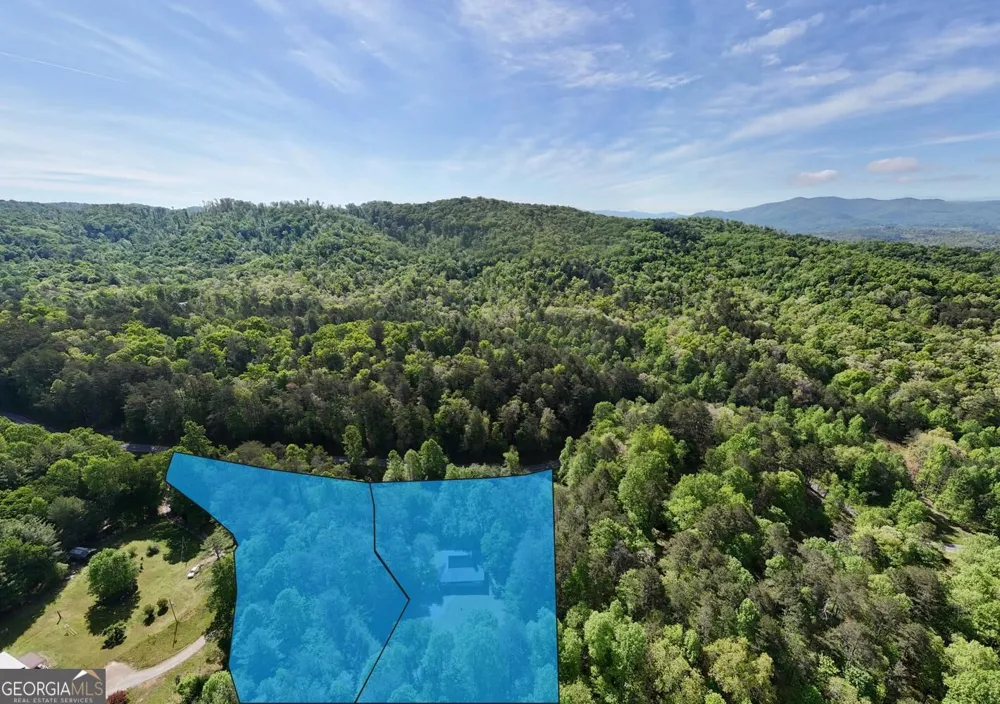 1493 Greasy Creek Road Brasstown, NC 28902