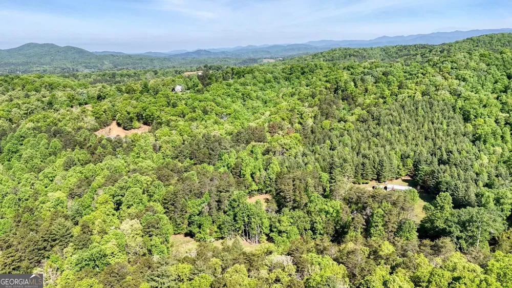 1493 Greasy Creek Road Brasstown, NC 28902