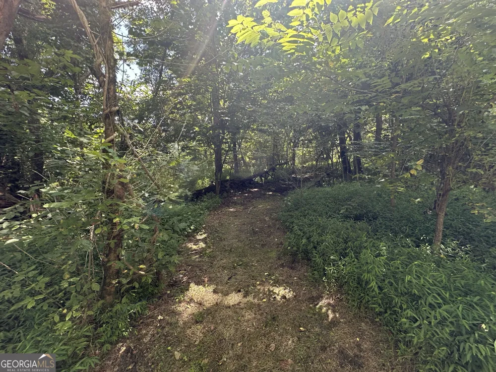 LOTS 5&6 Qualla Terrace Hayesville, NC 28904