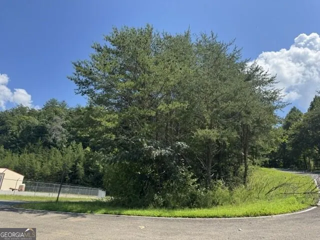 0 Old Northcutt RD Ellijay, GA 30540